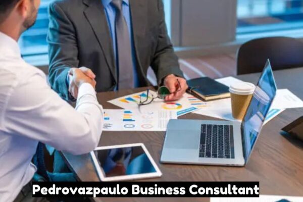 Pedrovazpaulo Business Consultant