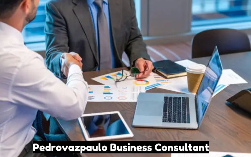 Pedrovazpaulo Business Consultant