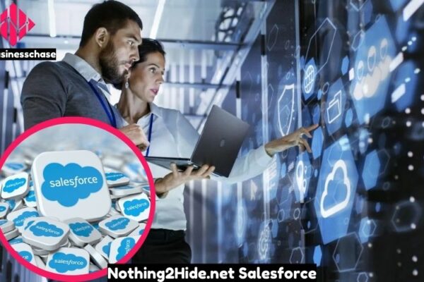 Nothing2Hide.net Salesforce