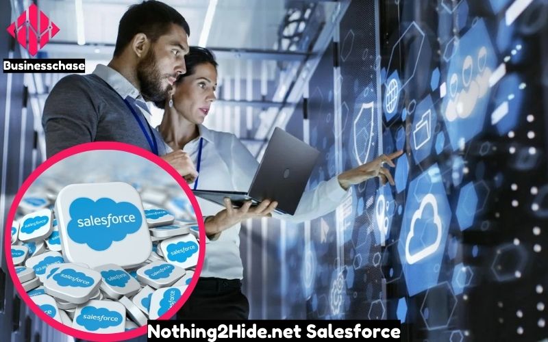 Nothing2Hide.net Salesforce